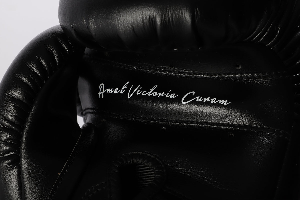 Gants de Boxe