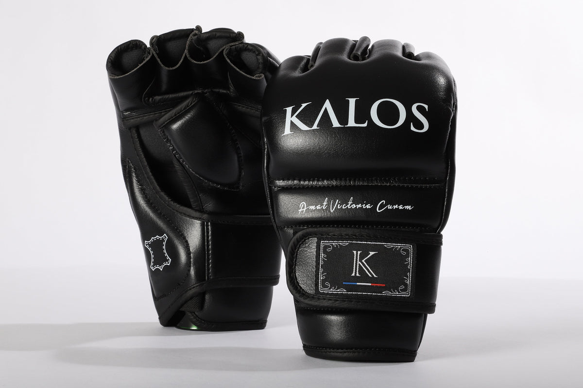 Pack complet Boxe + MMA